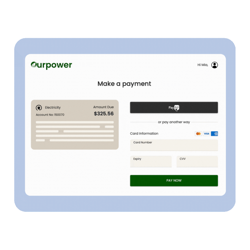 PayTo website experience (2)