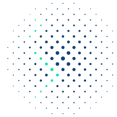 radial 8996 (1)